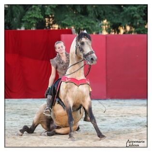 Bestof juillet 2017 Rebecca Perroud à Equestria, Tarbes - 2017