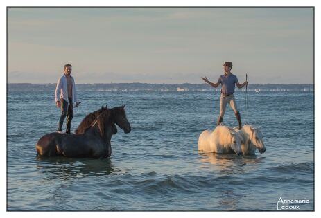 Bestof août 2018 PIerre Fleury & Santi Serra sur la plage, Deauville - 2017