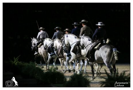  Ecole Royale Andalouse d'Art Equestre de Jerez