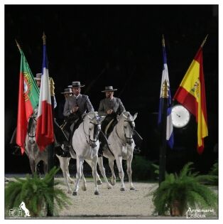  Ecole Royale Andalouse d'Art Equestre de Jerez