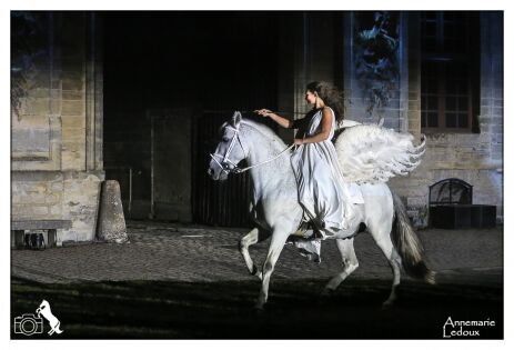  ‟Le palais où cheval est Roi‟ - Chantilly - 2019