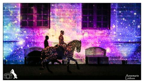  Margot Passefort et Yann Vaille  - ‟Le palais où cheval est Roi‟ - Chantilly - 2019