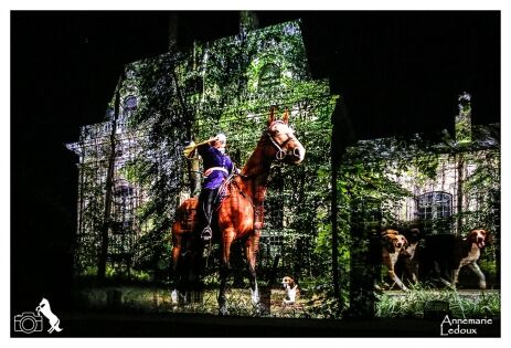  ‟Le palais où cheval est Roi‟ - Chantilly - 2019