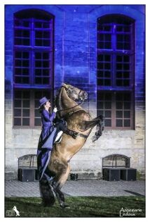  Clémence Faivre & Mario Luraschi - ‟Le palais où cheval est Roi‟ - Chantilly - 2019