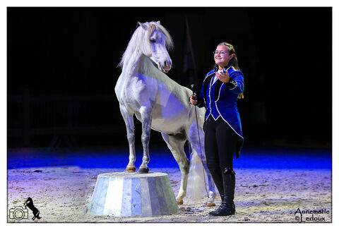 Best Of avril 2022 Charlotte Deronne lors du concours des Etoiles Equestres, Angers 2021