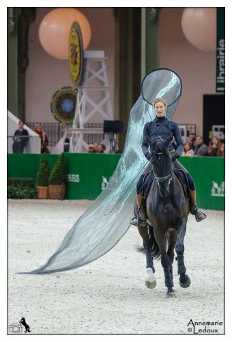 Académie équestre de Versailles