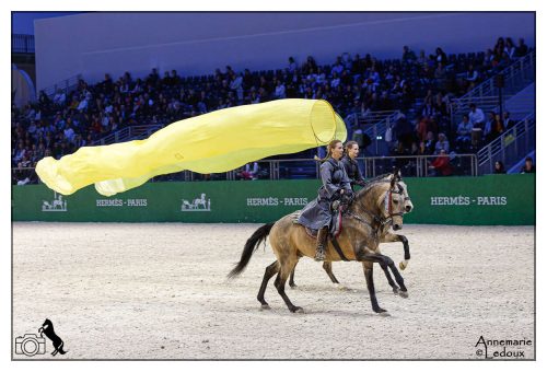 Académie équestre de Versailles
