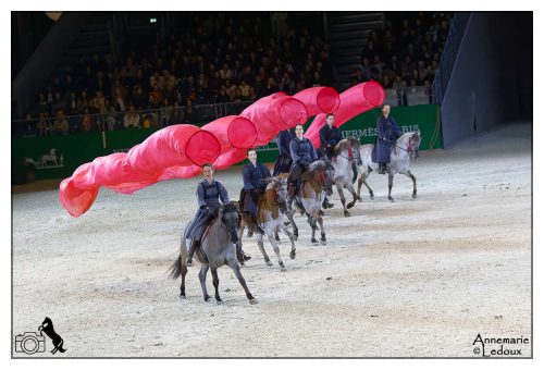 Académie équestre de Versailles